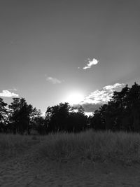 Trees on field against sky
