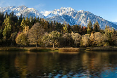 nature