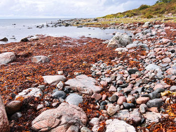 Rocks on beach