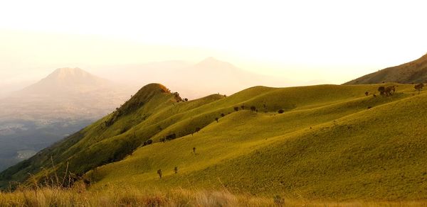 Views of the hills of mount merbabu in indonesia
