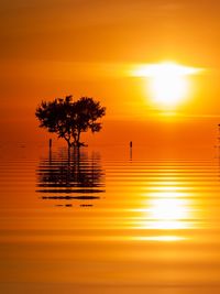 Silhouette tree against romantic sky at sunset