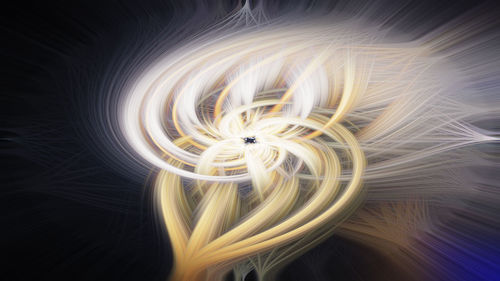 Close-up of white flower against black background