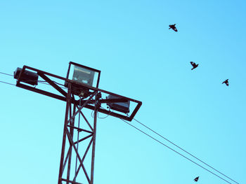 Low angle view of a bird flying