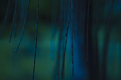 Close-up of camera against sky at night