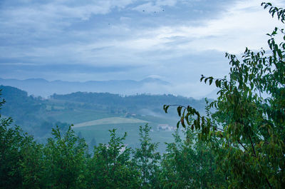 Scenic view of landscape against sky