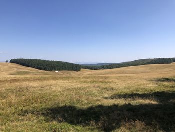 Scenic view of landscape against clear blue sky