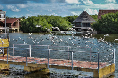 View of houses with waterfront