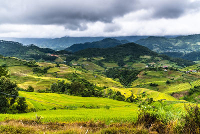 Scenic view of landscape against sky