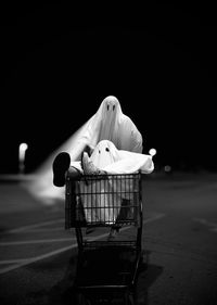 Man in basket on footpath at night