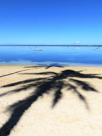 Scenic view of beach against clear blue sky