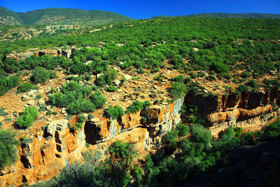 High angle view of mountain