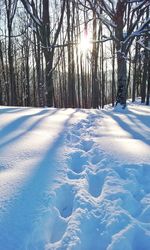 Scenic view of snow covered field