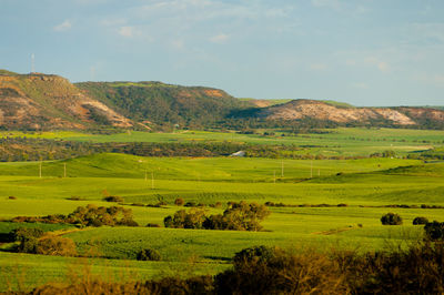 Scenic view of green landscape against sky