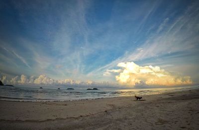 Scenic view of beach against sky