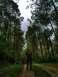 Rear view of man walking on footpath amidst trees in forest