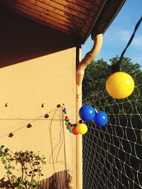Low angle view of balloons hanging on tree