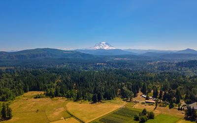 Scenic view of landscape against clear blue sky