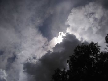 Low angle view of trees against sky