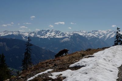 Scenic view of snowcapped mountains against sky