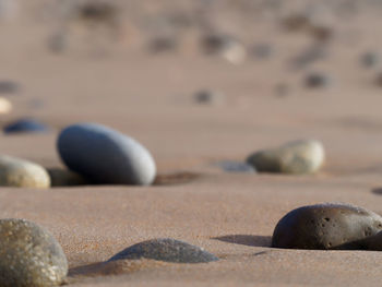 Close-up of ball on sand