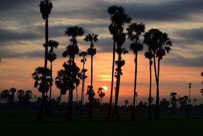 Silhouette palm trees on field against sky during sunset