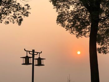 Silhouette street light by tree against sky during sunset