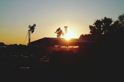 Silhouette of trees at sunset