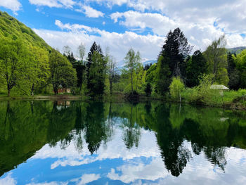 Scenic view of lake by trees against sky