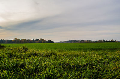 Scenic view of field against sky