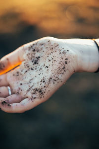 Close-up of hand holding leaf