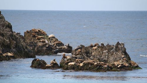 Rock formation on beach against sky