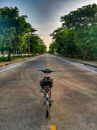 Man riding bicycle on road against sky