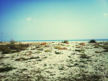 Scenic view of sea against blue sky