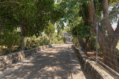 Empty road amidst trees