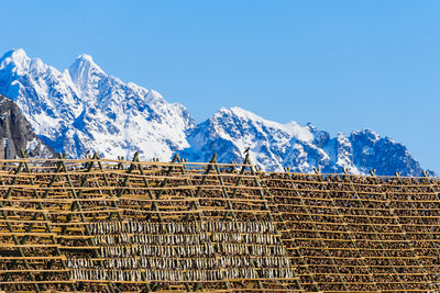 Scenic view of snowcapped mountains against clear blue sky
