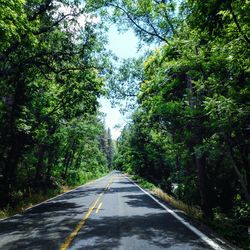 Empty road amidst trees in forest