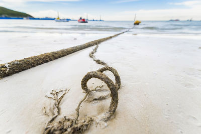 Close-up of rope on beach