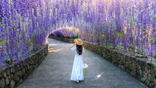 Rear view of woman walking on footpath