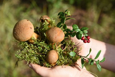 Close-up of hand holding fruits