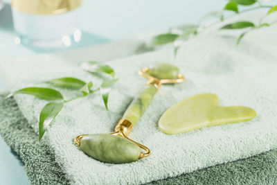 Cropped hand of person with seashells on table