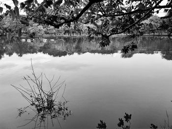 Reflection of trees in lake against sky