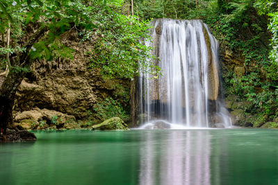 Scenic view of waterfall in forest