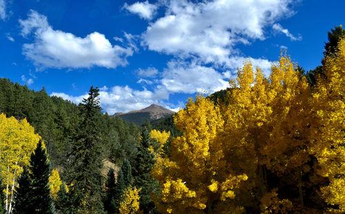 Panoramic view of trees and mountains against sky