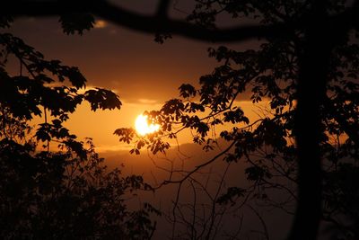 Silhouette trees against dramatic sky during sunset