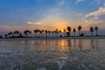 Silhouette palm trees by swimming pool against sky during sunset