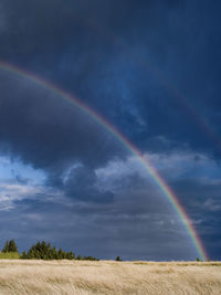 Scenic view of rainbow over field against sky