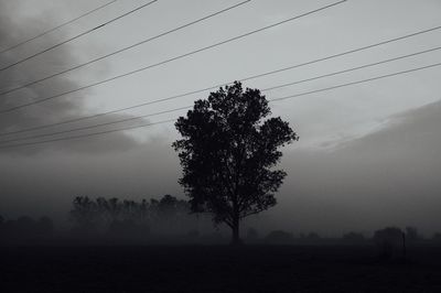 Silhouette tree on field against sky