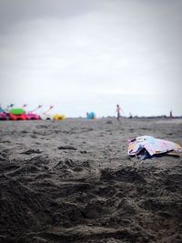 People on beach against sky