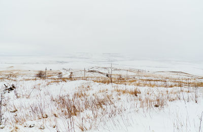 Scenic view of snow covered landscape