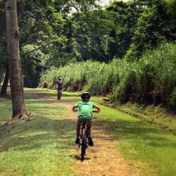 Rear view of father with daughter riding bicycle on field